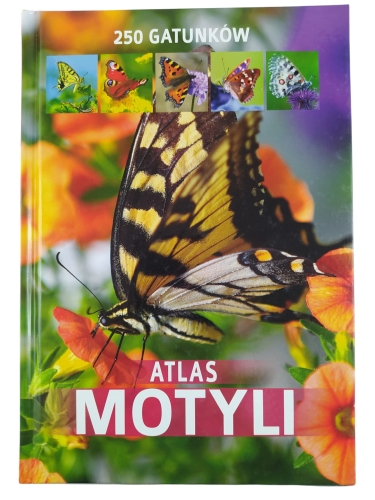 atlas motyli 250 gat.jpg
