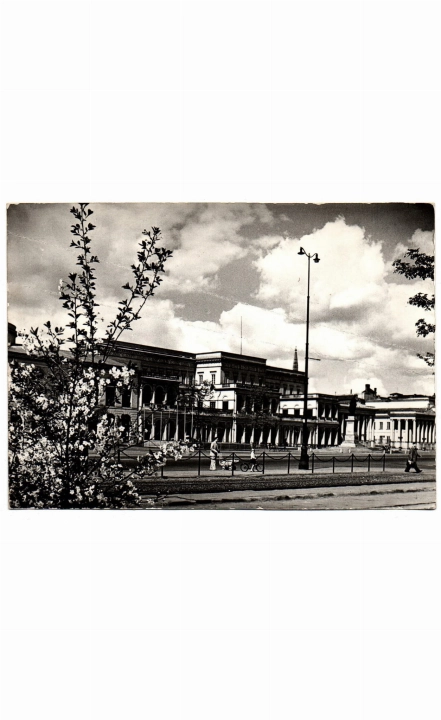 391a kopia.jpg