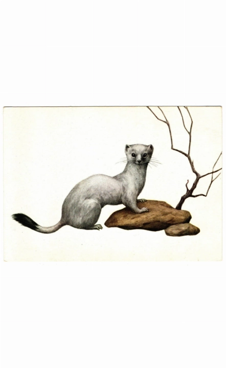 139a kopia.jpg