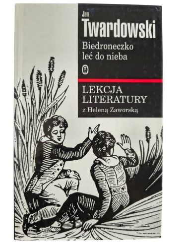 biedroneczko leć.jpg