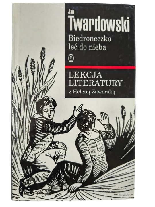 biedroneczko leć.jpg