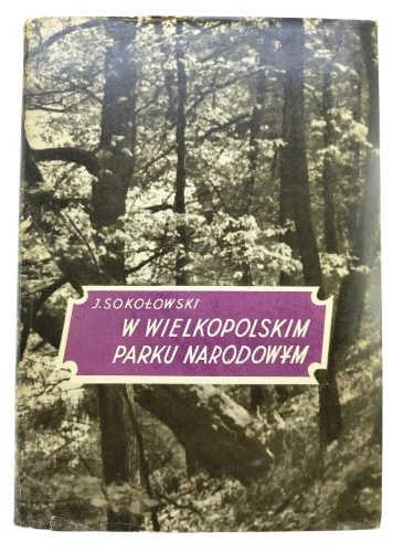 w wielkopolskim.jpg