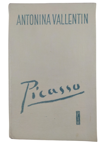 picasso.jpg