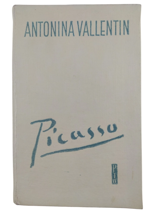 picasso.jpg
