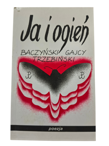 ja i ogień.png