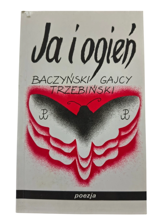 ja i ogień.png