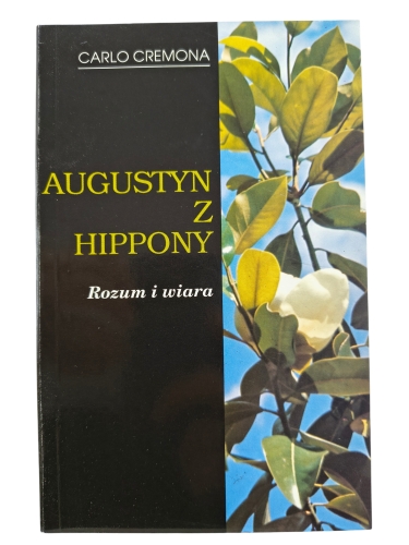 augustyn z hippony.jpg