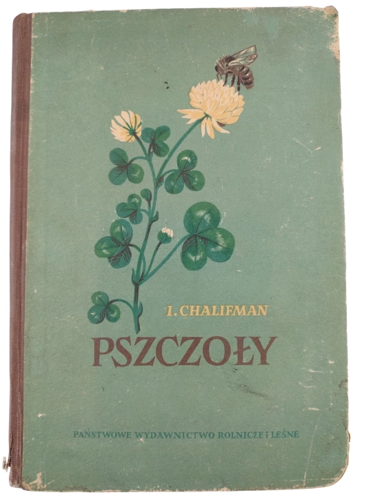 pszczoły.jpg