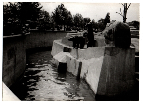 481a.jpg