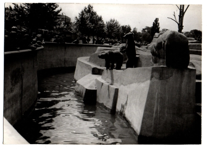 481a.jpg