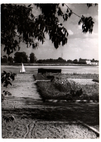 491a.jpg