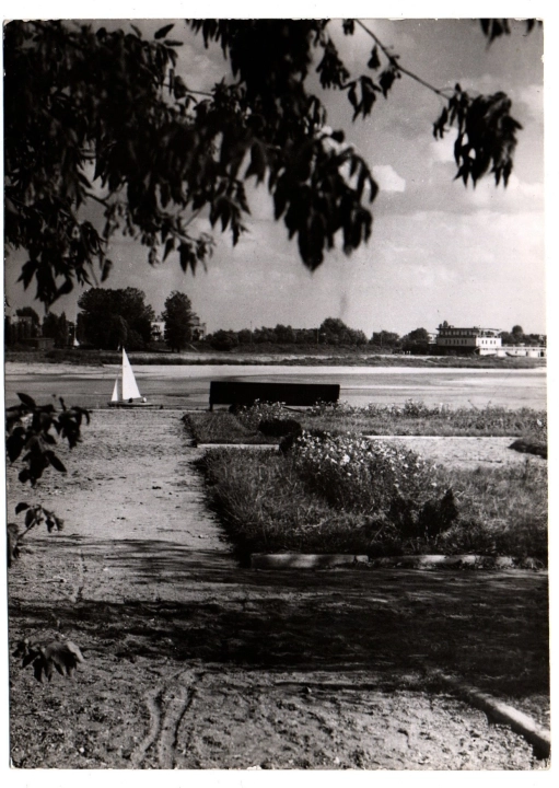 491a.jpg