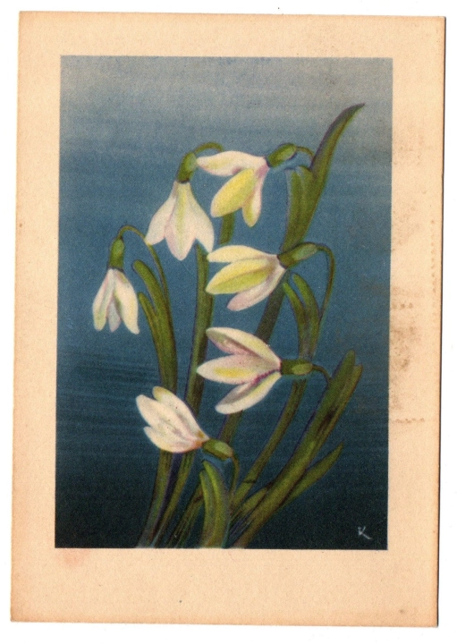 103a.jpg