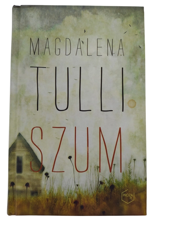 szum.jpg